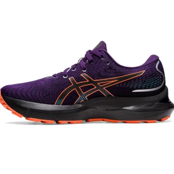 Asics Neutrale Laufschuhe | Allround Laufschuhe>Gel-Cumulus 24 GTX Violett