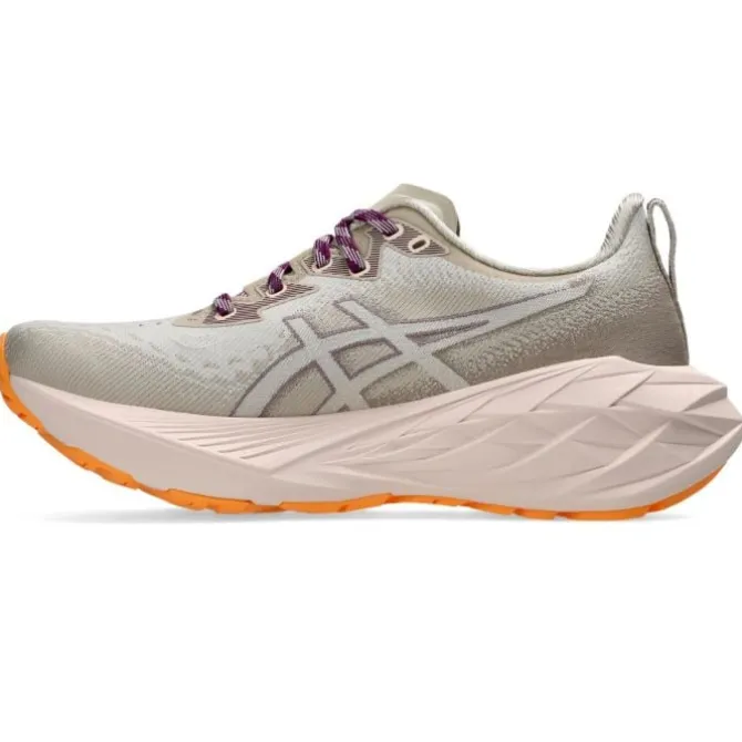 Asics Neutrale Laufschuhe | Allround Laufschuhe>Novablast 4 TR Grau