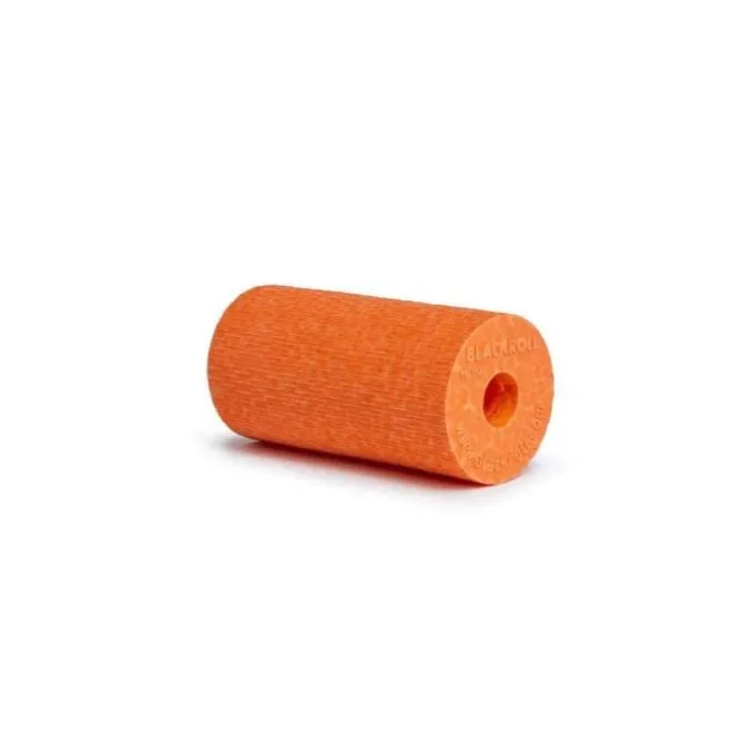 Blackroll Fitnessgeräte | Pflegeprodukte>Micro Foam Roller (Pocket Size)