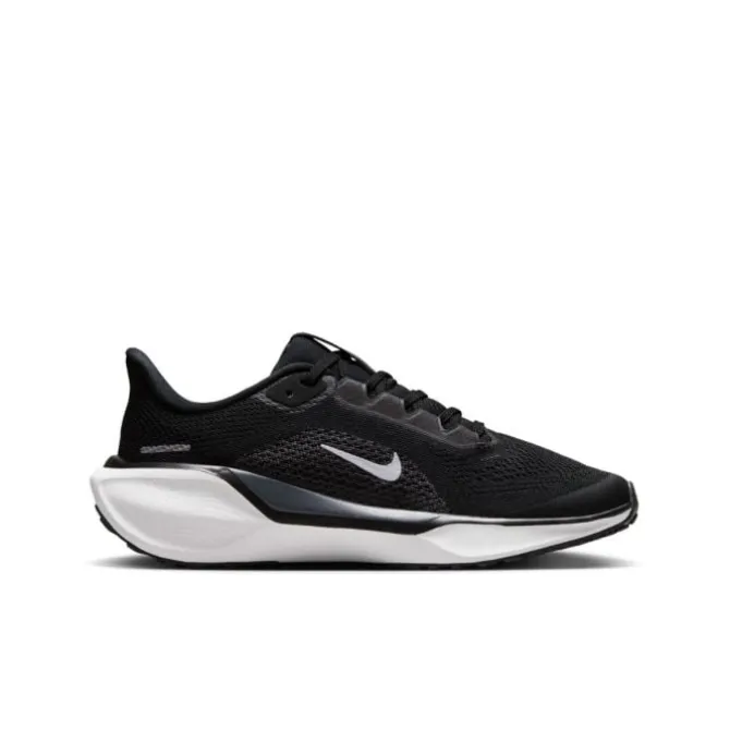 Nike Laufschuhe>Air Zoom Pegasus 41