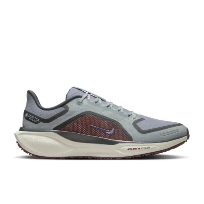 Nike Neutrale Laufschuhe | Allround Laufschuhe>Pegasus 41 Gore-Tex Grau