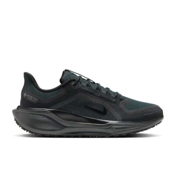 Nike Neutrale Laufschuhe>Pegasus 41 Gore-Tex Schwarz