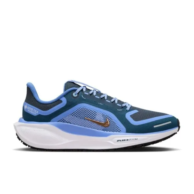 Nike Neutrale Laufschuhe | Allround Laufschuhe>Pegasus 41 Gore-Tex Blau