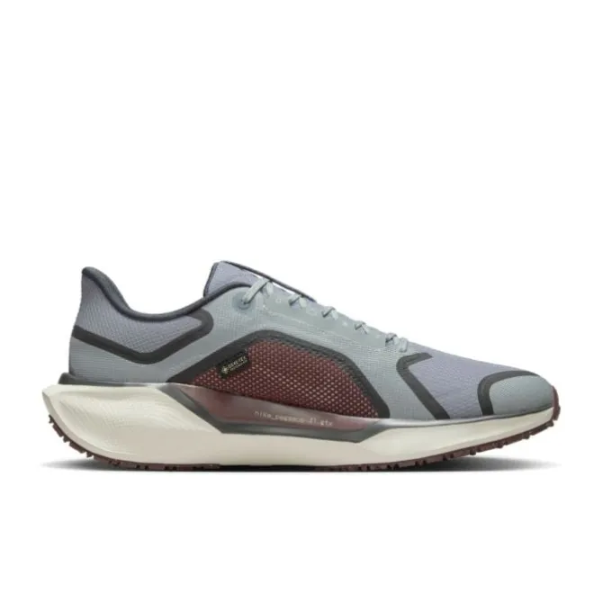 Nike Neutrale Laufschuhe | Allround Laufschuhe>Pegasus 41 Gore-Tex Grau