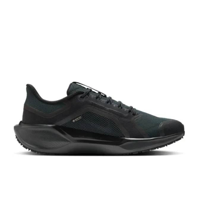 Nike Neutrale Laufschuhe>Pegasus 41 Gore-Tex Schwarz