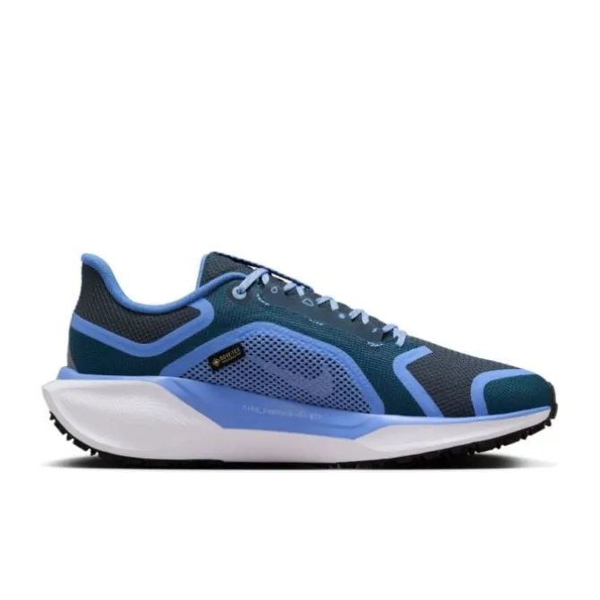 Nike Neutrale Laufschuhe | Allround Laufschuhe>Pegasus 41 Gore-Tex Blau