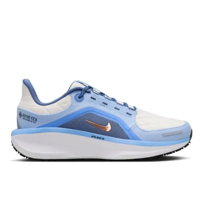 Nike Neutrale Laufschuhe | Allround Laufschuhe>Winflo 11 Gore-Tex Blau