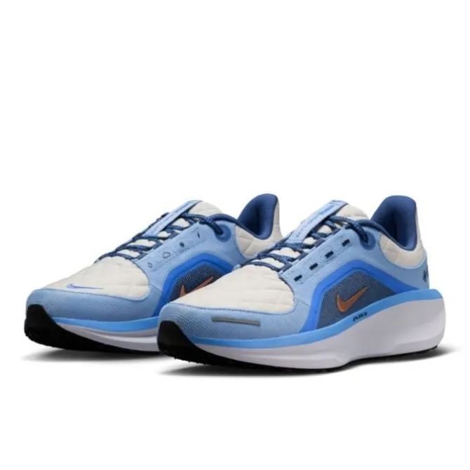 Nike Neutrale Laufschuhe | Allround Laufschuhe>Winflo 11 Gore-Tex Blau