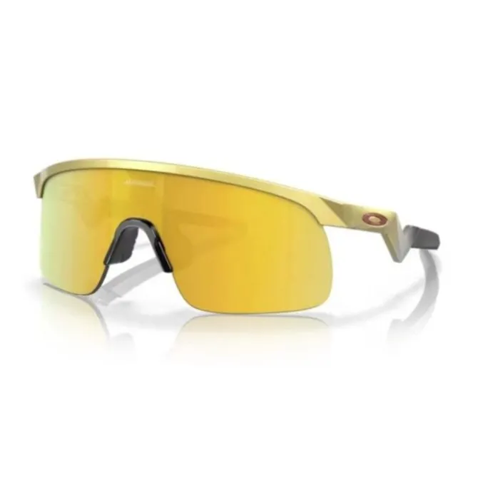 Oakley Sonnenbrillen>Resistor (Prizm 24K) Gold