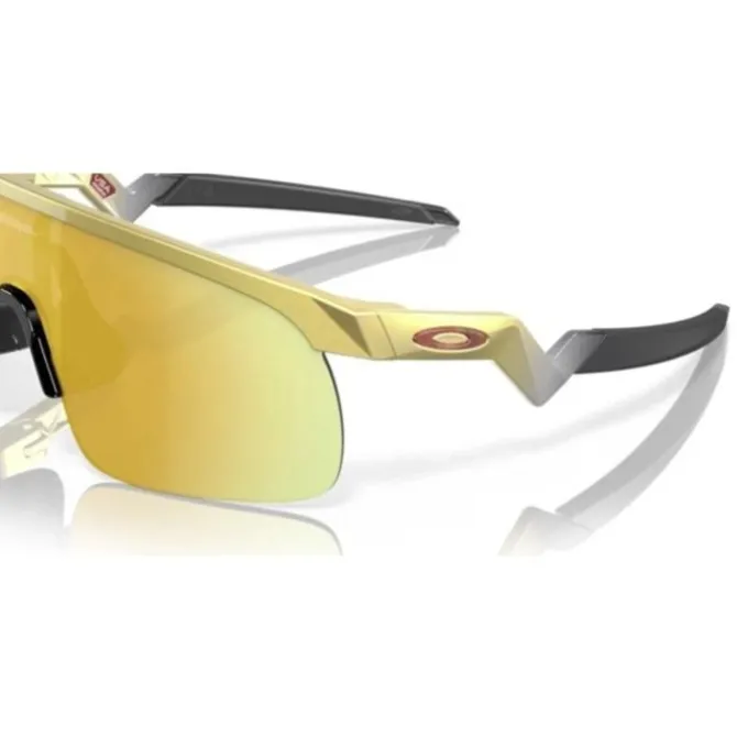 Oakley Sonnenbrillen>Resistor (Prizm 24K) Gold