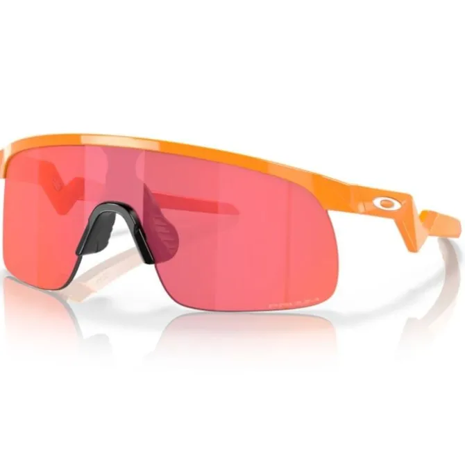 Oakley Sonnenbrillen>Resistor (Prizm Trail Torch) Orange