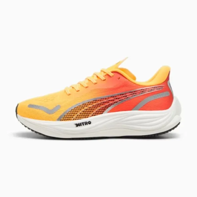 Puma Neutrale Laufschuhe | Allround Laufschuhe>Velocity Nitro 3 Fade Orange