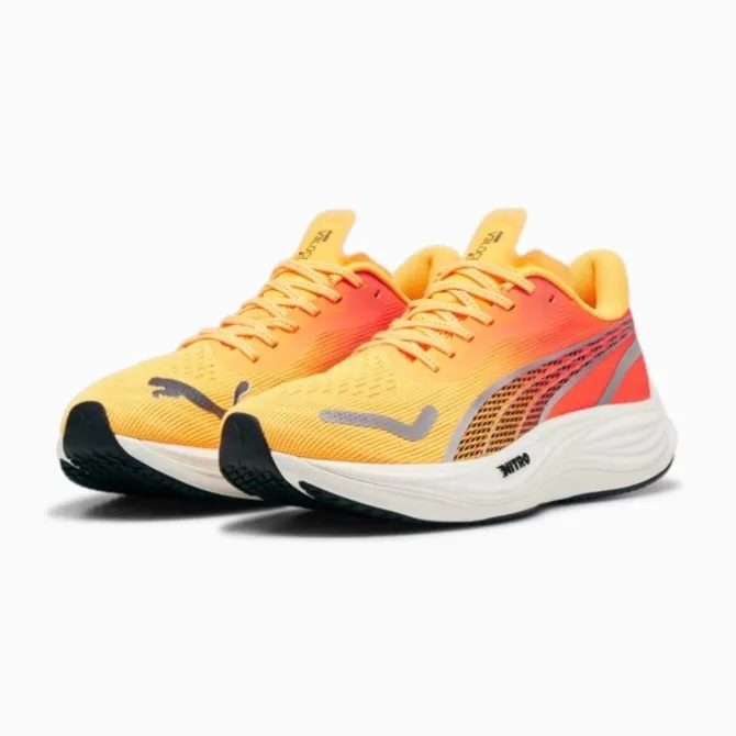 Puma Neutrale Laufschuhe | Allround Laufschuhe>Velocity Nitro 3 Fade Orange