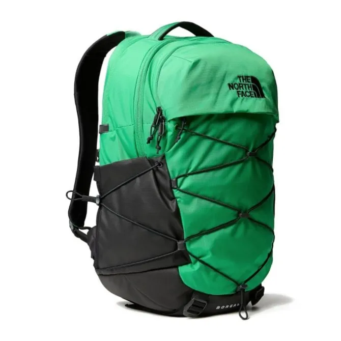 The North Face Laufrucksäcke & Sporttaschen>Borealis Backpack 28L Grün